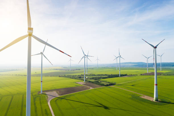 Wind turbines in a field
